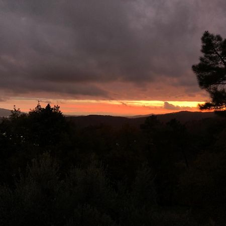 Villaspino Capolona Εξωτερικό φωτογραφία