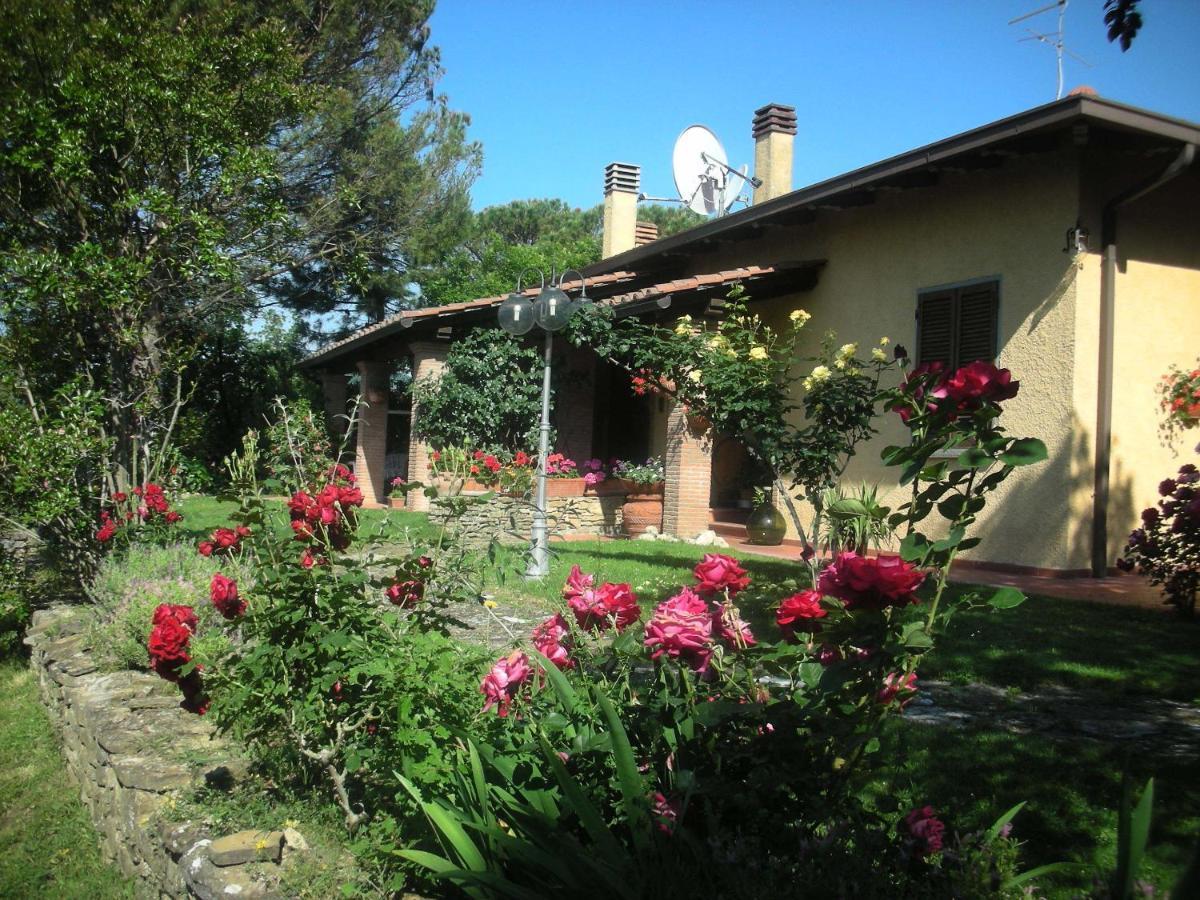 Villaspino Capolona Εξωτερικό φωτογραφία