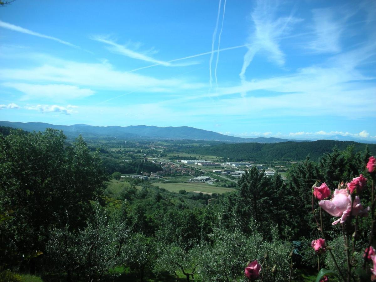 Villaspino Capolona Εξωτερικό φωτογραφία