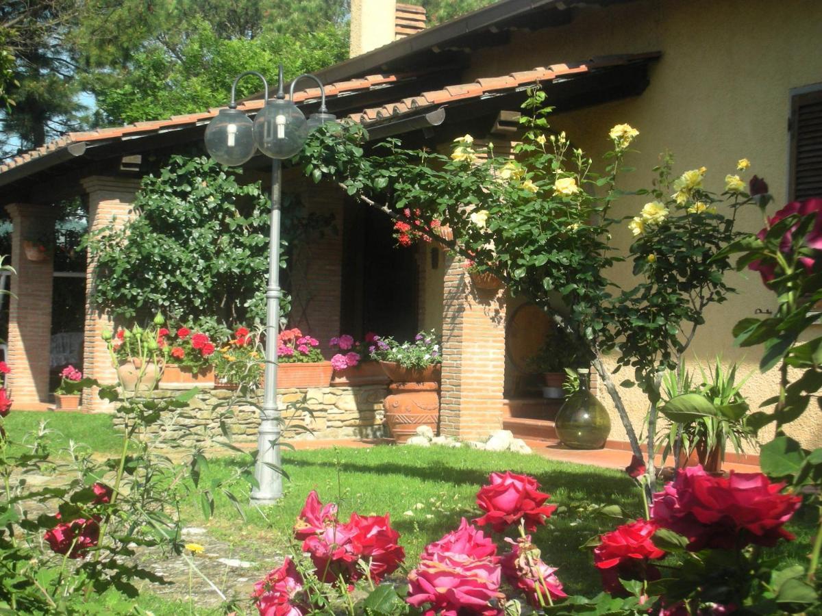 Villaspino Capolona Εξωτερικό φωτογραφία