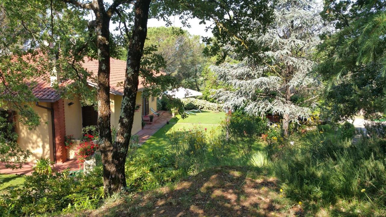 Villaspino Capolona Εξωτερικό φωτογραφία