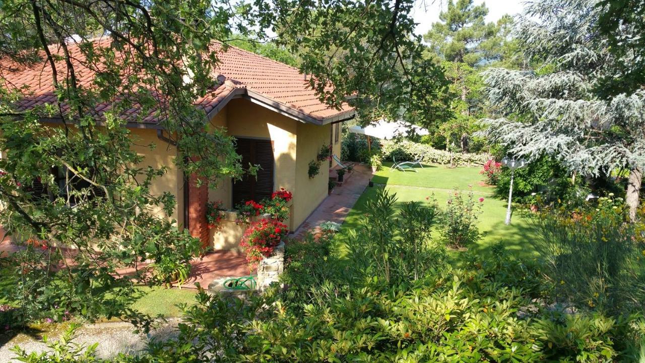 Villaspino Capolona Εξωτερικό φωτογραφία