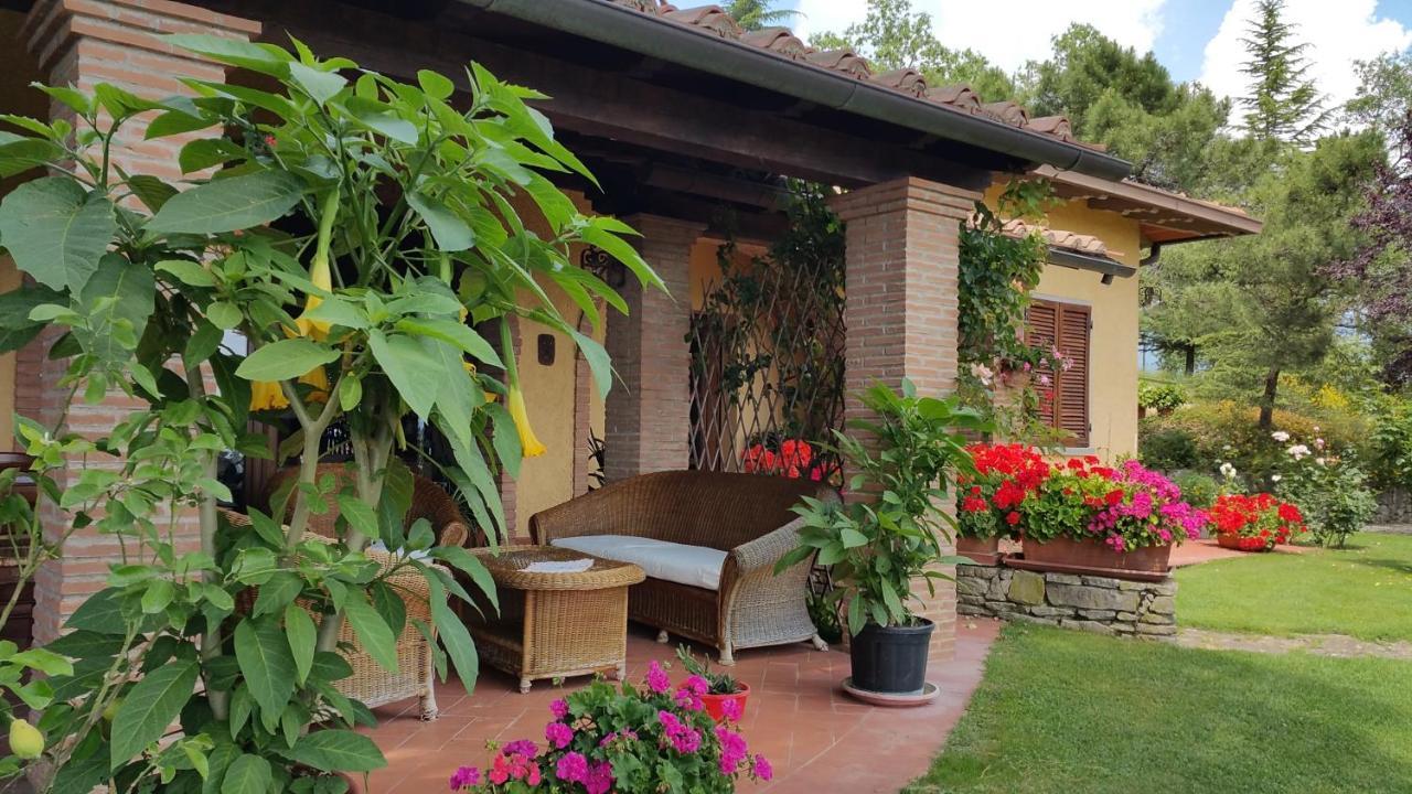 Villaspino Capolona Εξωτερικό φωτογραφία