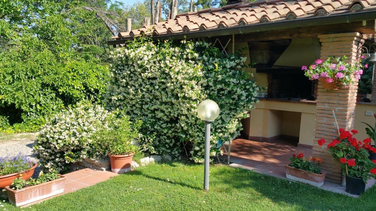 Villaspino Capolona Εξωτερικό φωτογραφία