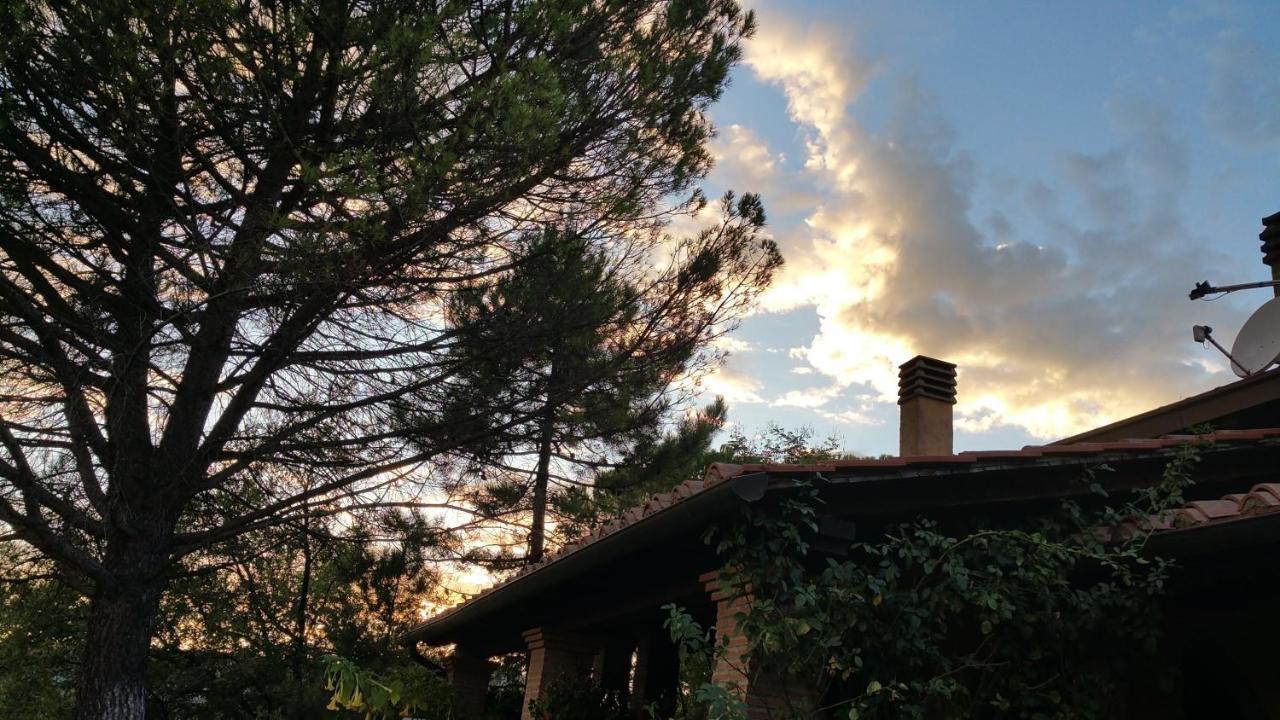 Villaspino Capolona Εξωτερικό φωτογραφία
