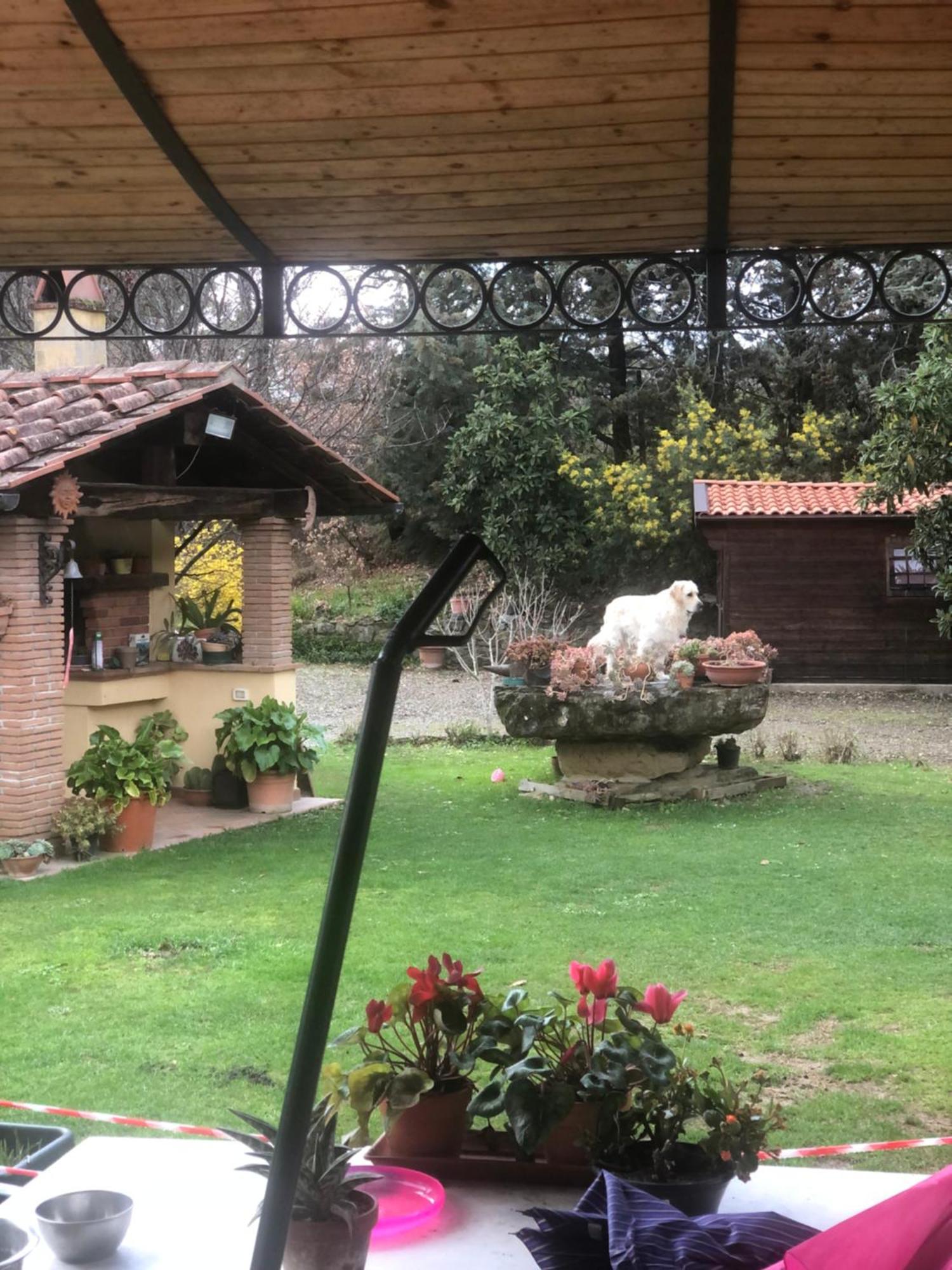 Villaspino Capolona Εξωτερικό φωτογραφία