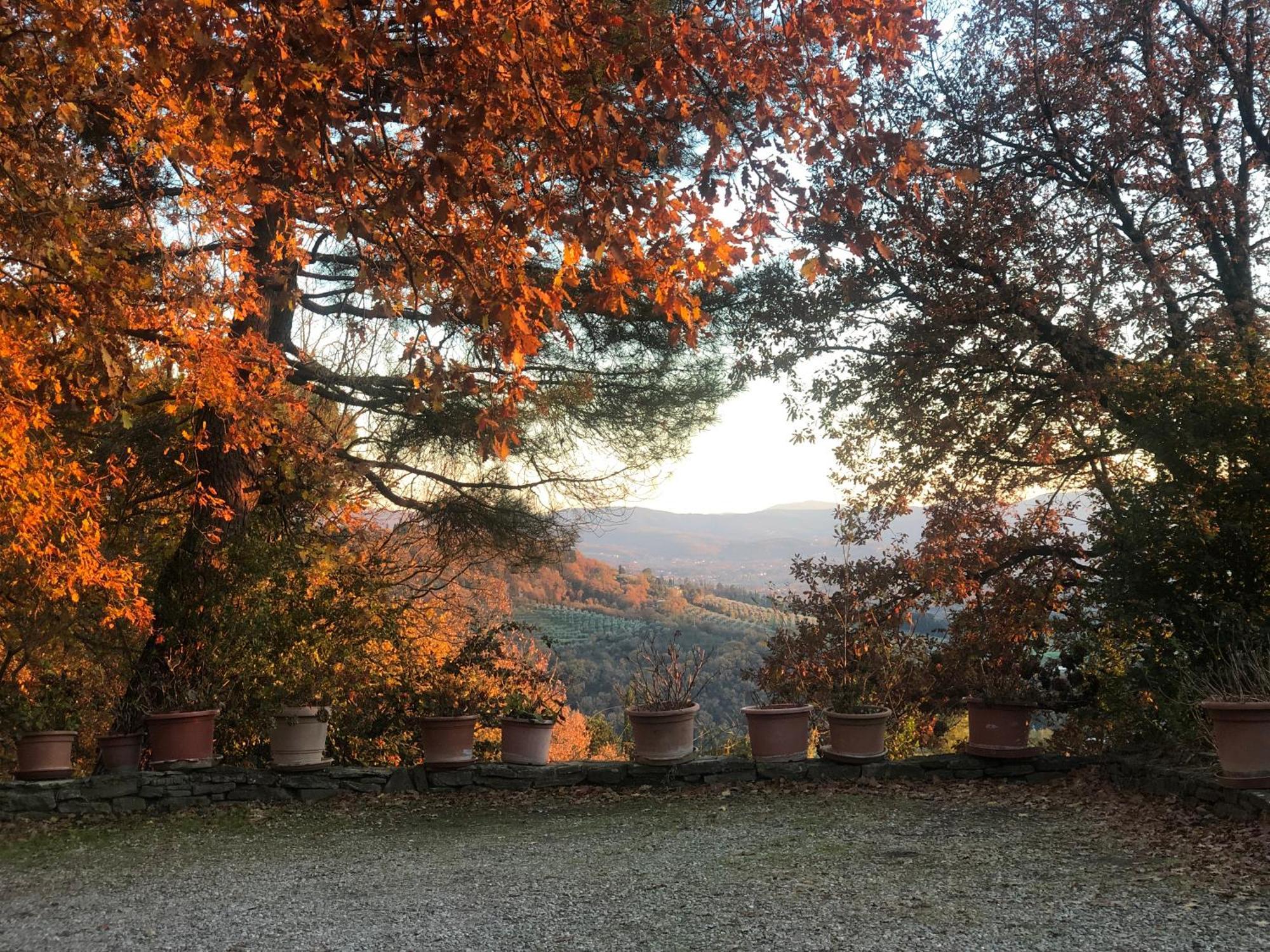 Villaspino Capolona Εξωτερικό φωτογραφία